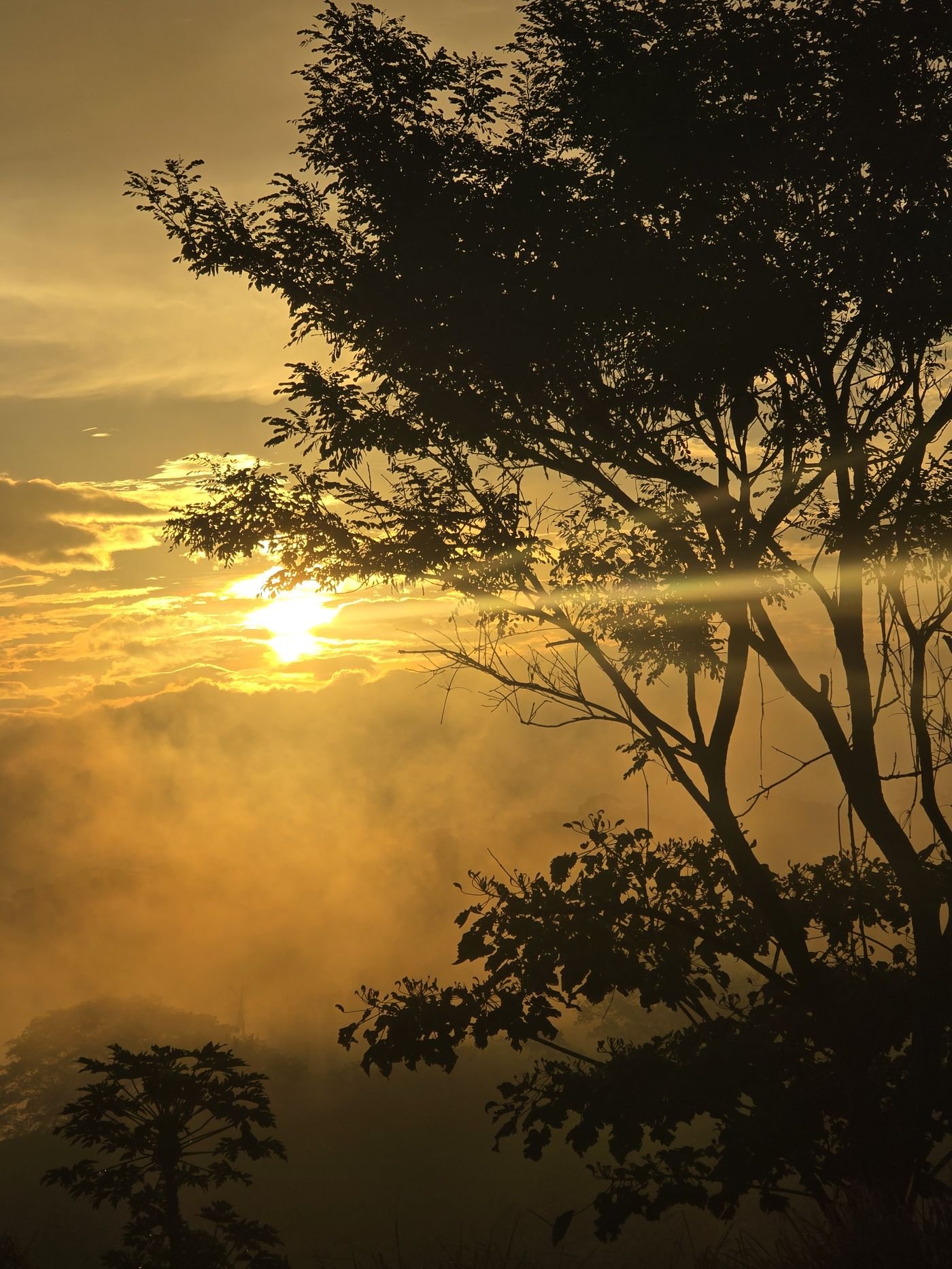 Costa Rica landscape