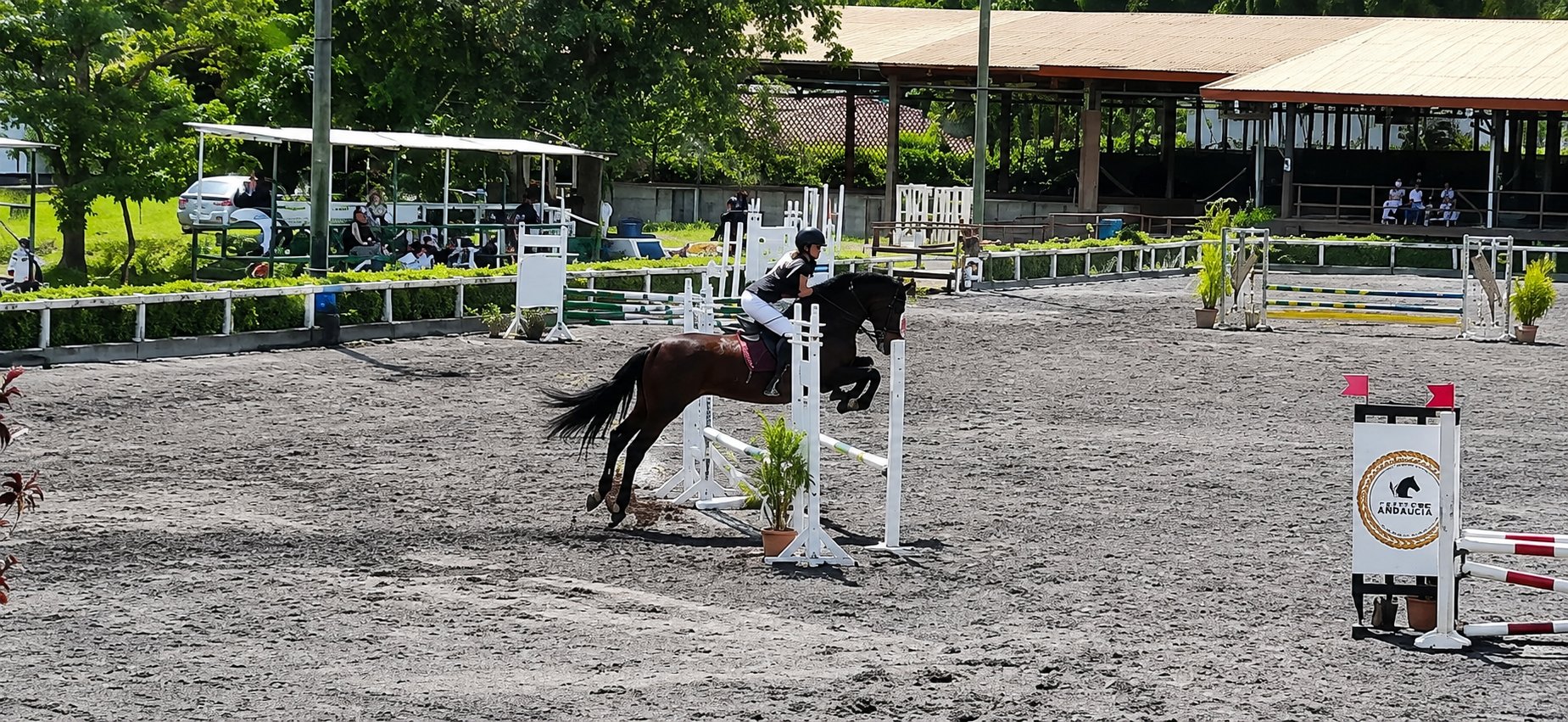 Child connecting with horse at our riding school